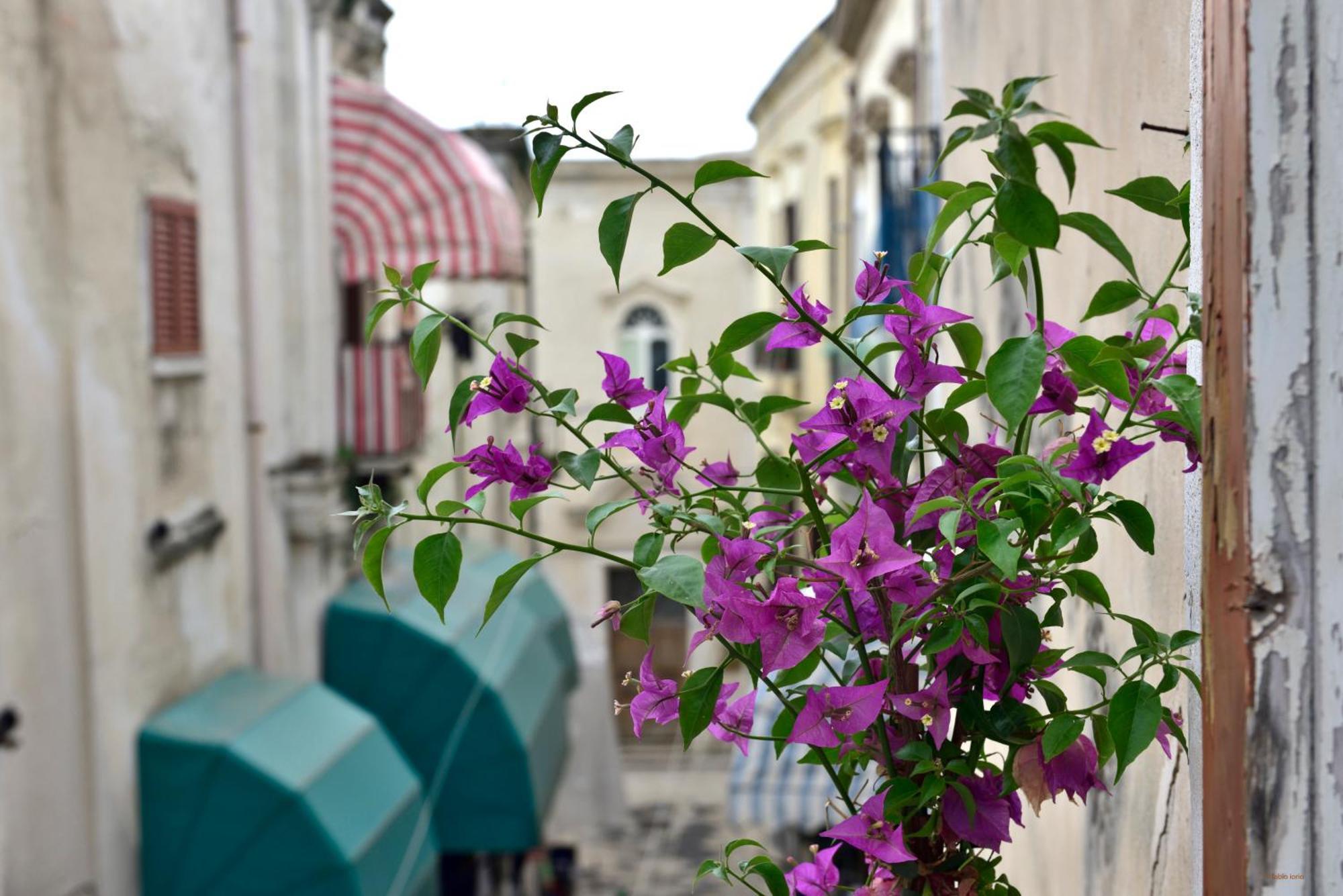 Ciaobari Apartment - Elegant 4 Bedrooms In The Heart Of Old Town Kültér fotó