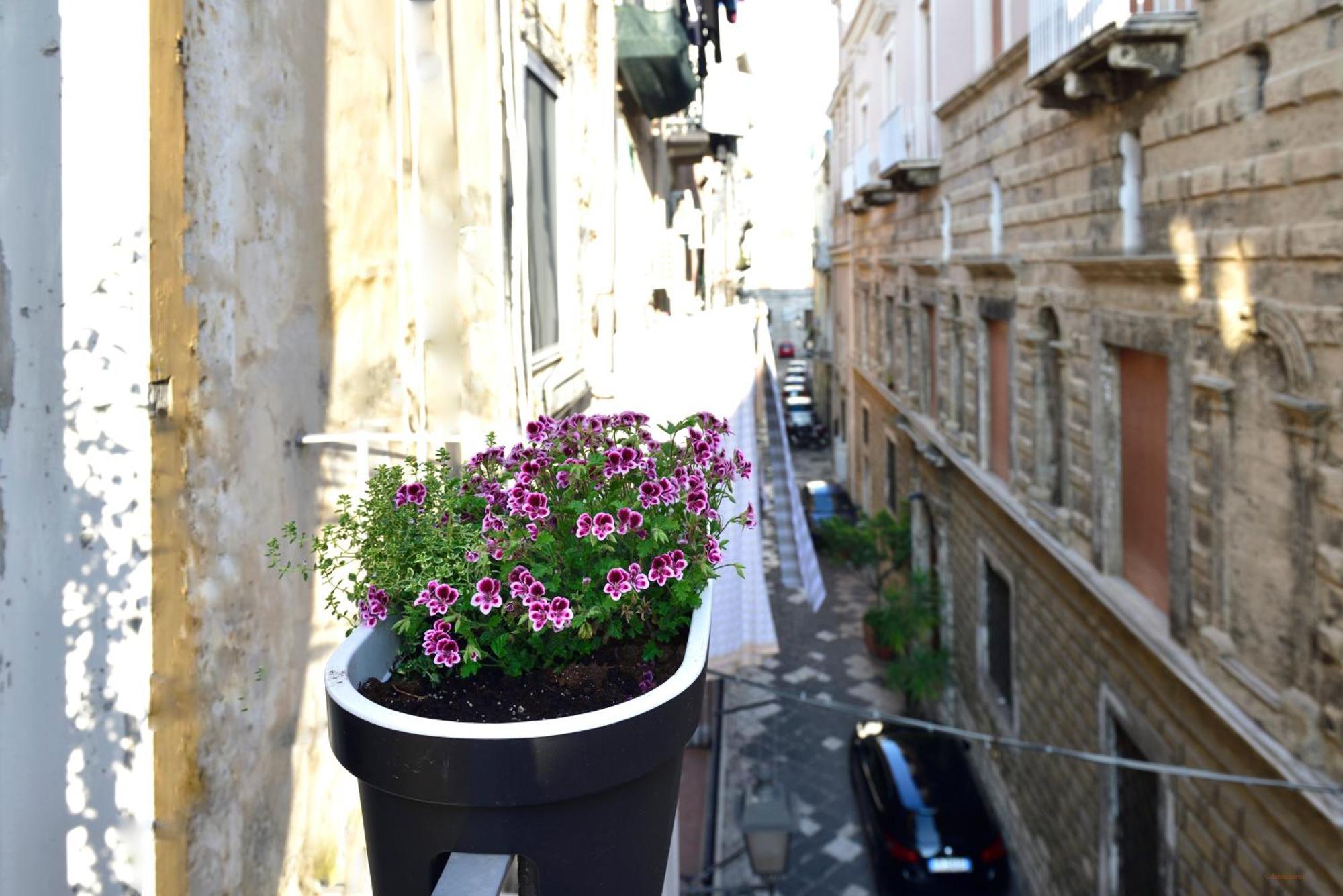 Ciaobari Apartment - Elegant 4 Bedrooms In The Heart Of Old Town Kültér fotó